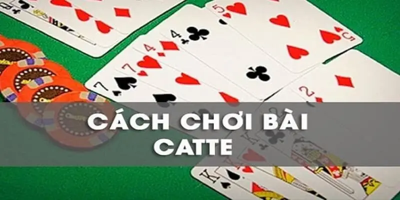 Game bài Catte online chơi mượt trên di động với hiệu ứng đẹp mắt và thao tác dễ dùng